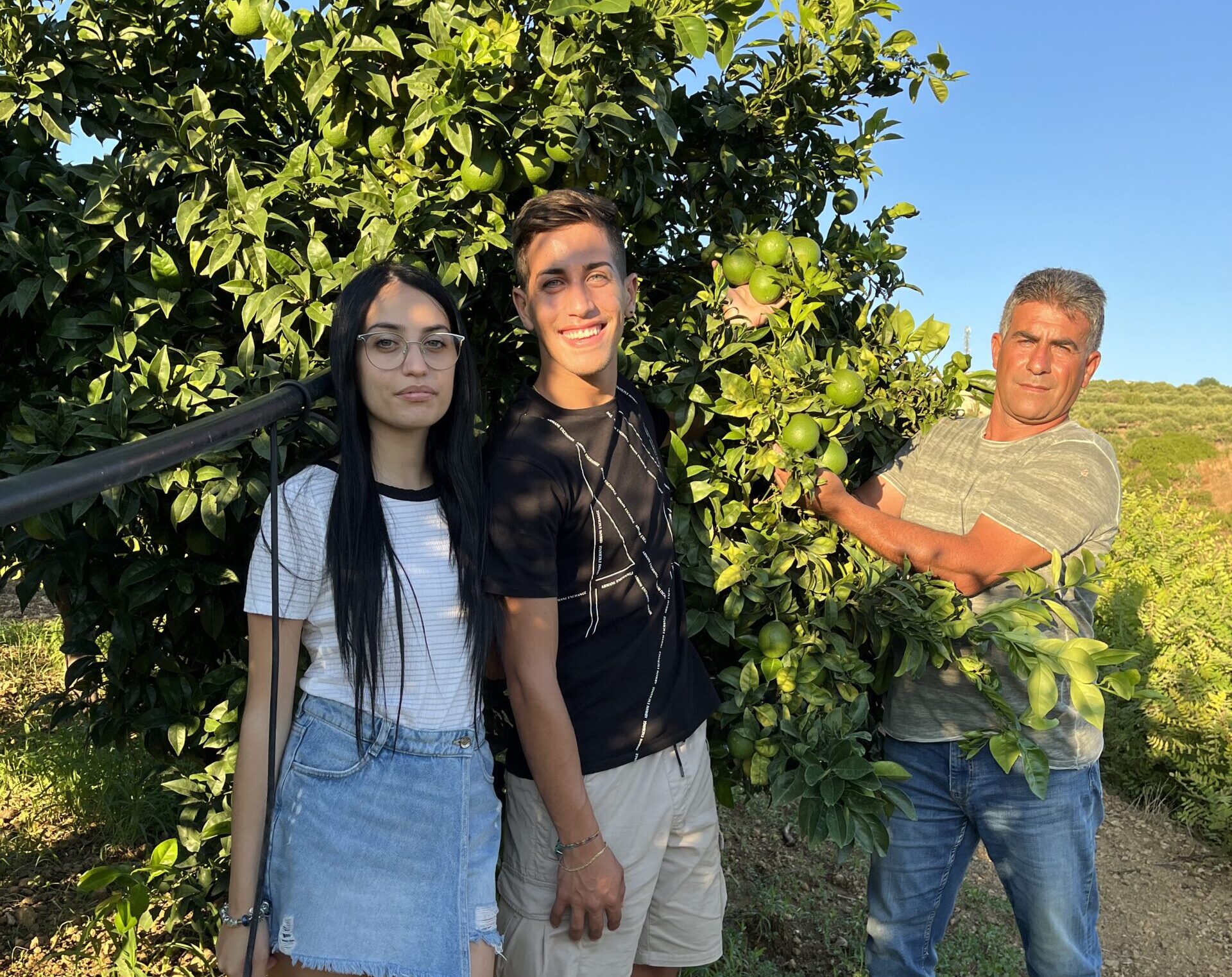 Orlando Azienda Agricola Vendita di Arance di Ribera e agrumi di Sicilia, Acquista arance online e prodotti tipici siciliani