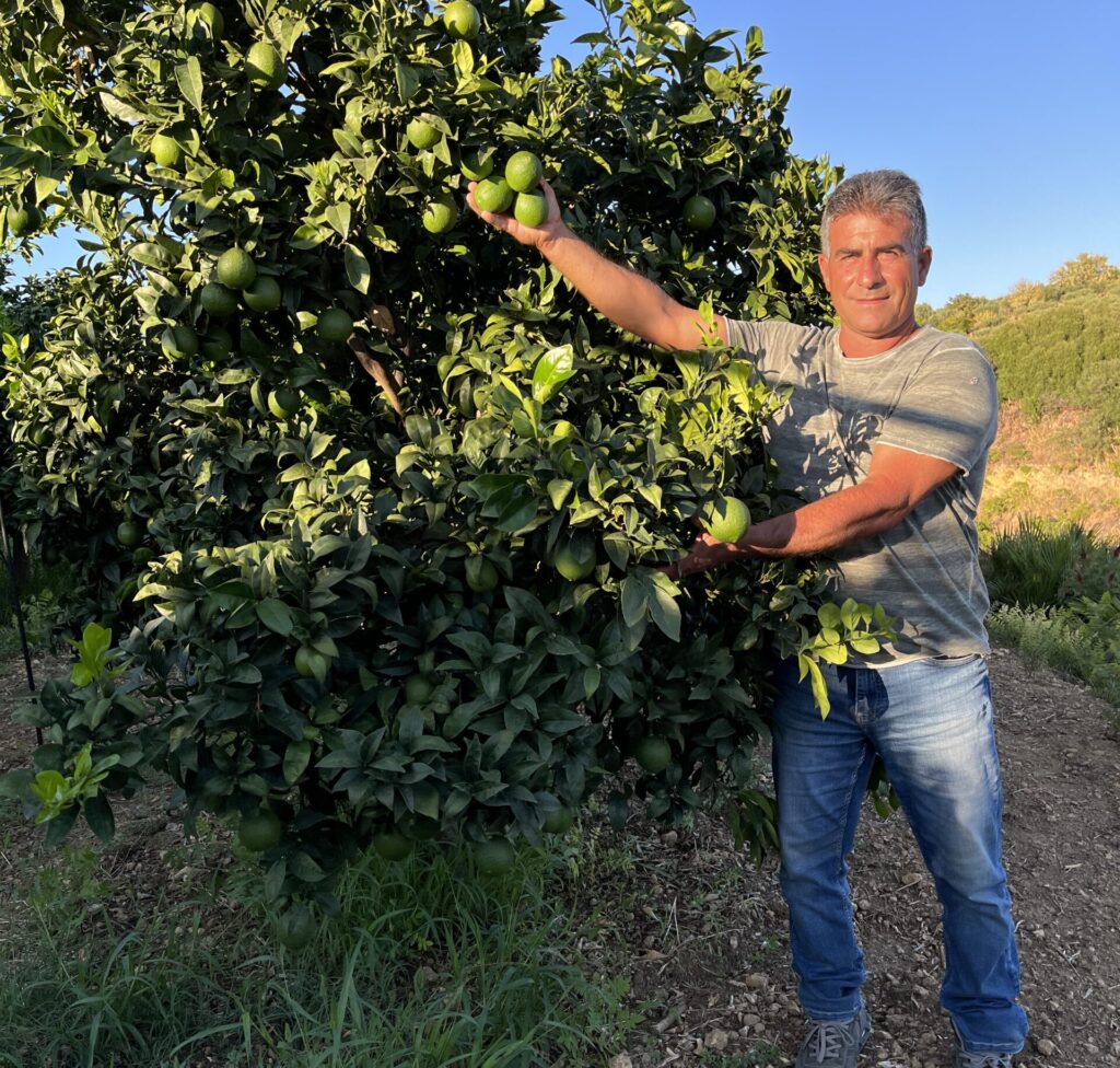 Orlando Azienda Agricola